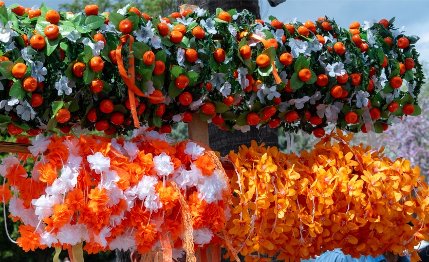 Portakal Çiçeği Karnavalı