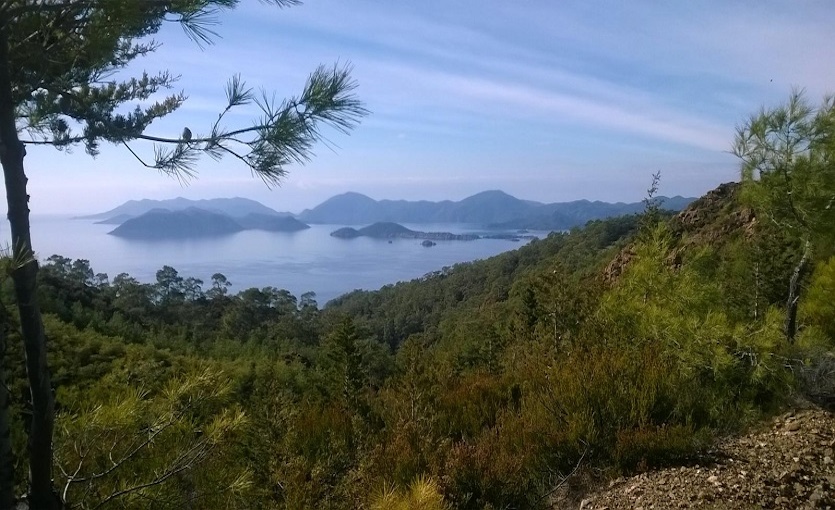 Dalaman Günlüklü Koyu