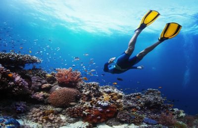 Hurghada Dalış Rehberi