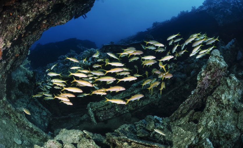 Hurghada El Mina Mohammed