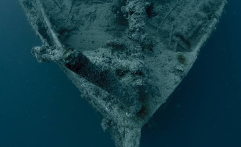 Hurghada Rosali Moller Kalıntısı