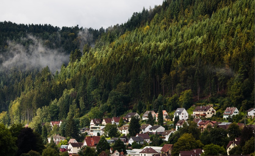 schwarzwald, almanya