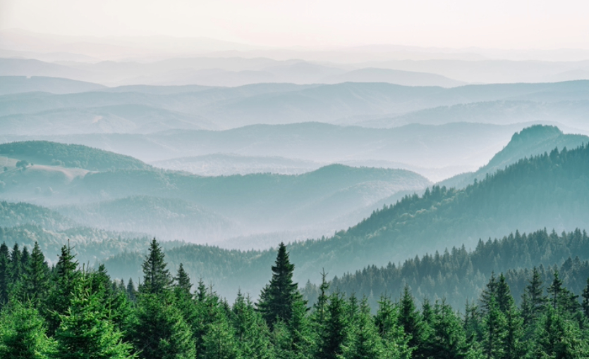Ankara’ya Yakın Yaylalar