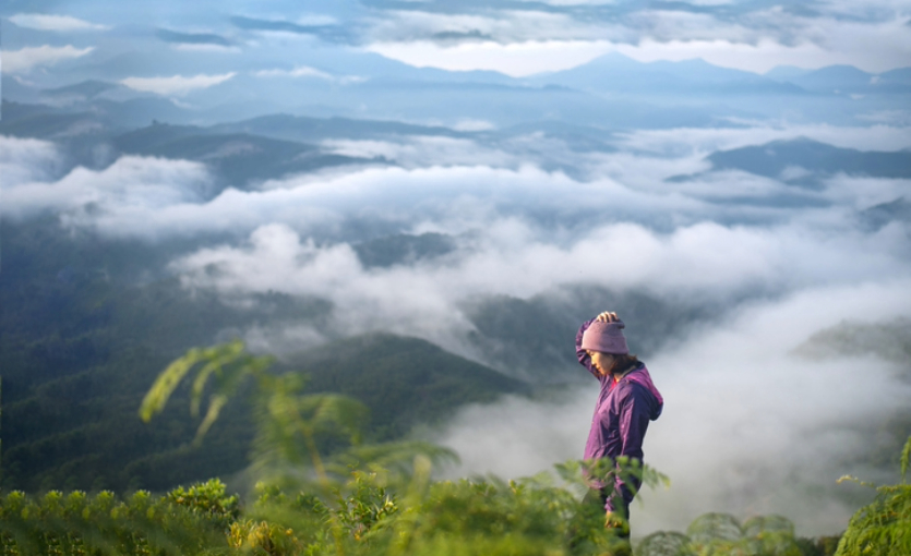 Hafta Sonu Serinlik Rotaları: İstanbul, Ankara ve İzmir’e Yakın Yaylalar