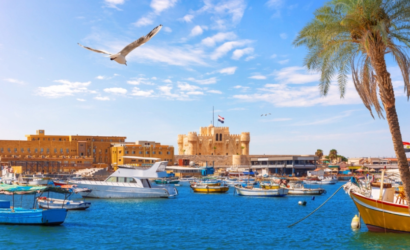 Pegasus 20 Rota İskenderiye