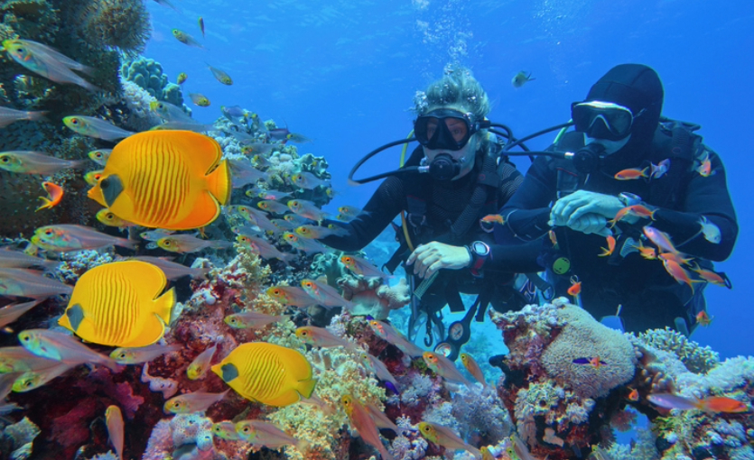 Emek ve Dayanışma Günü Tatil Planı