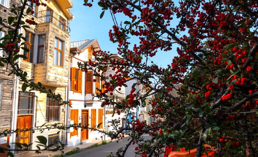 heybeliada sokakları