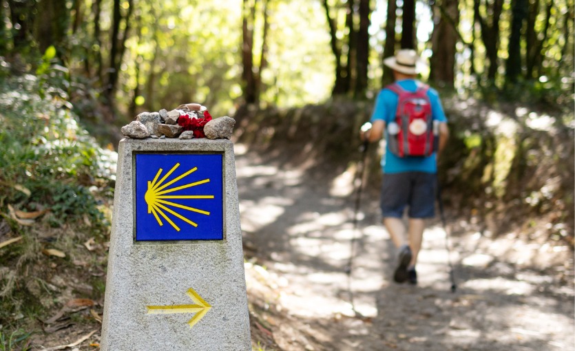 Camino de Santiago Yürüyüşü
