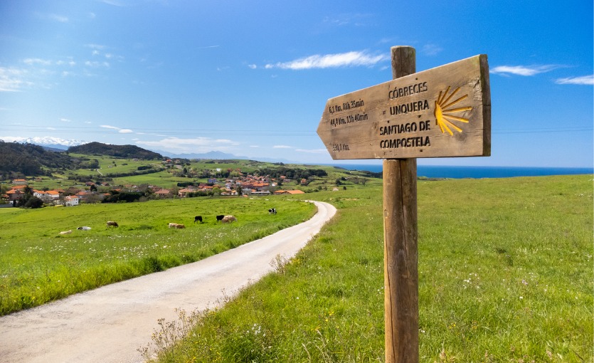 Camino de Santiago
