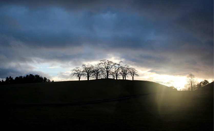 Skogskyrkogården, Stockholm 