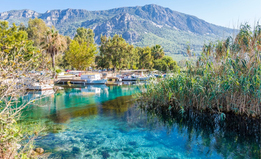 yengeç burcu, akyaka