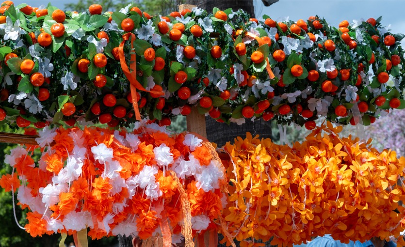 Adana Portakal Çiçeği Festivali Neler Var?