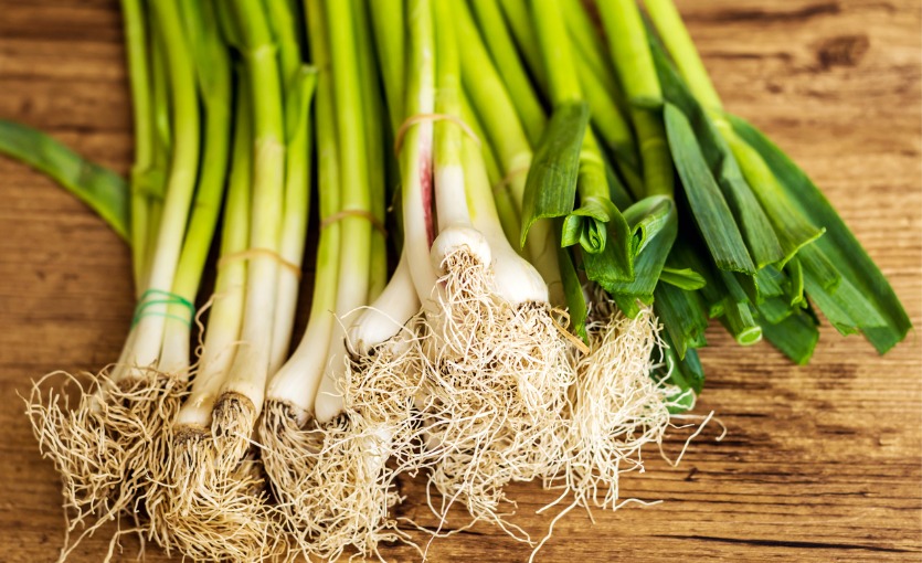 Alaçatı ot festivali, körmen