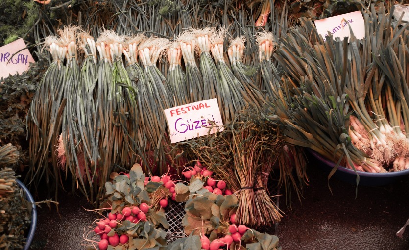 alaçatı ot festivali