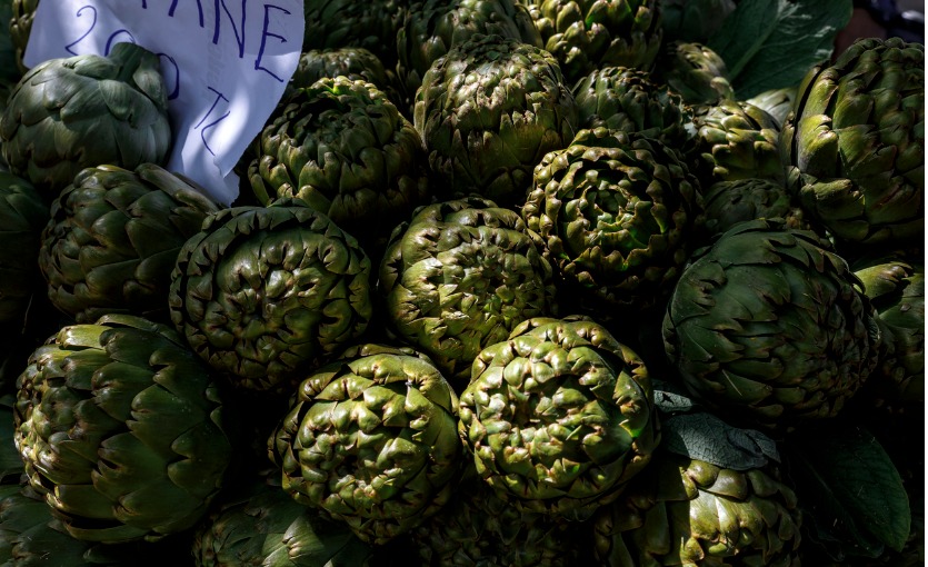 Bodrum Acı Ot Festivali Nedir?