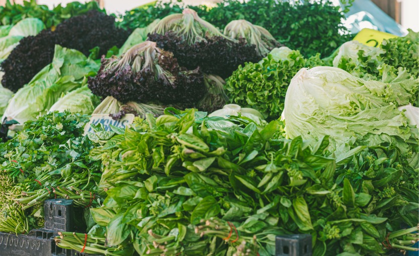 Bodrum Acı Ot Festivali’nde Neler Var?