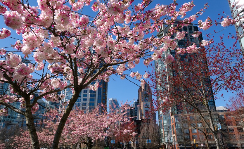 Leipzig nasıl bir yer