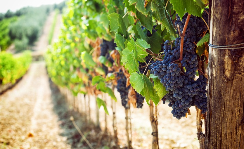 Elazığ Bağ Yolu’nun En Güzel Manzara Noktaları 