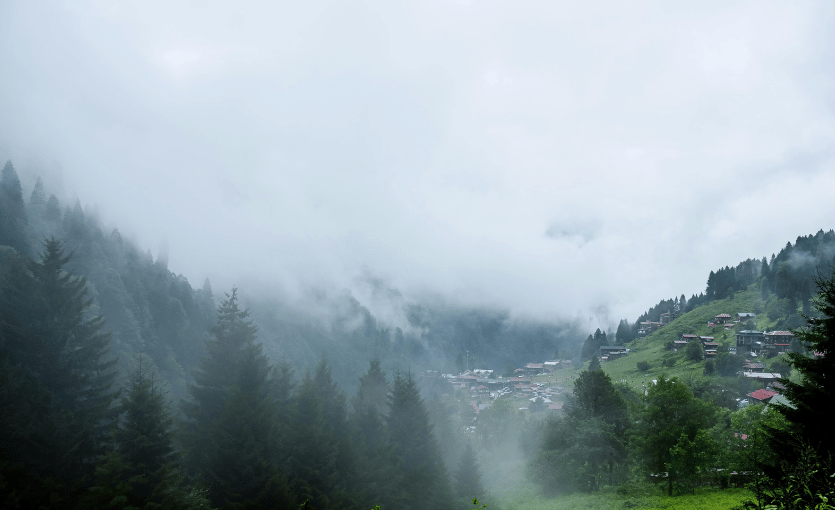 Rize yayla