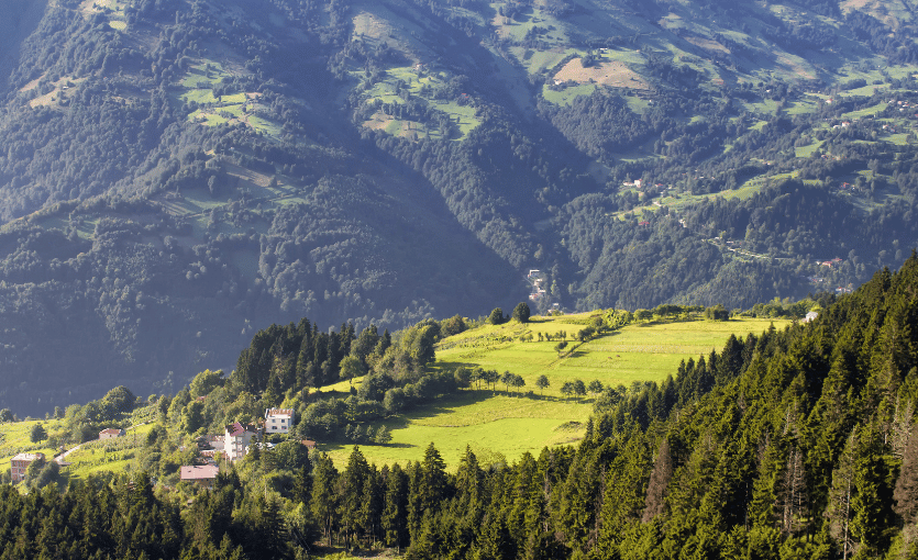Trabzon