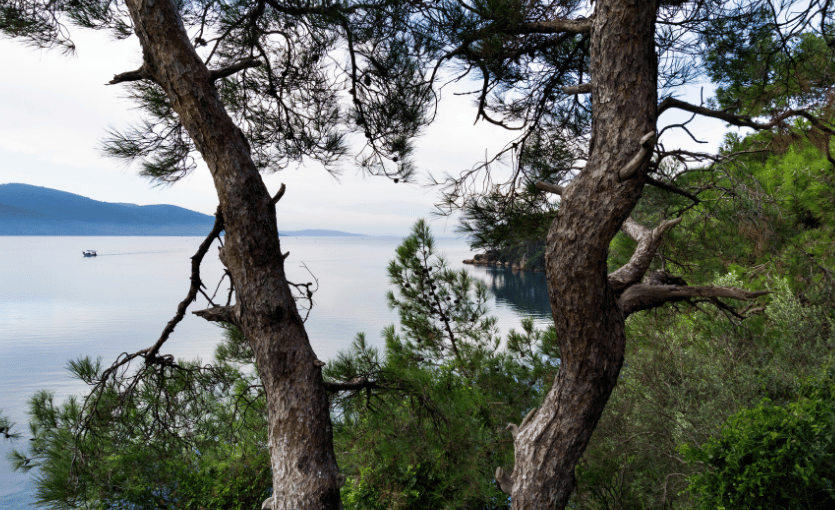 Akyaka Orman Kampı