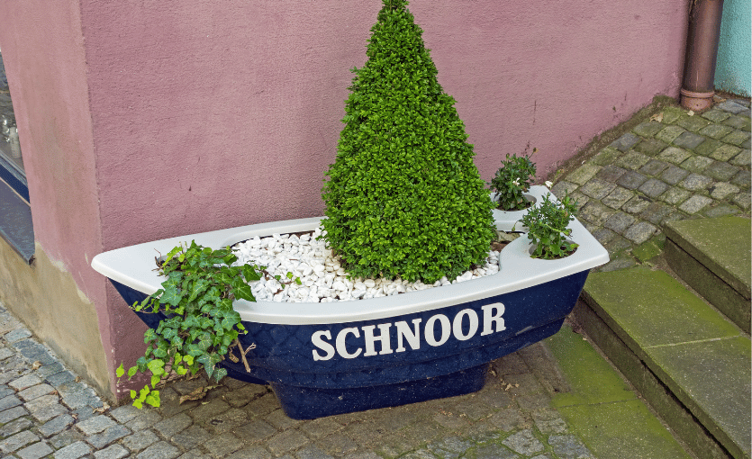 Schnoor