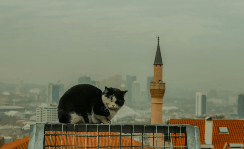 Ankara manzara
